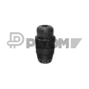 P031261 PLYOM