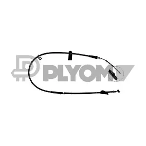 P762006 PLYOM