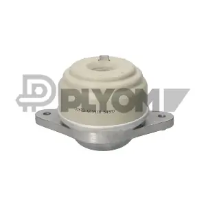P776963 PLYOM