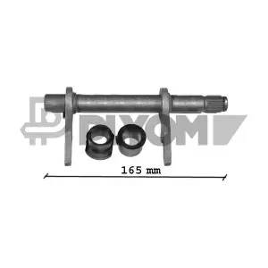 PLYOM P031713