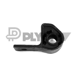 P030479 PLYOM