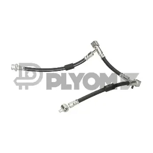P777963 PLYOM