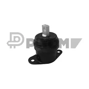 P756394 PLYOM