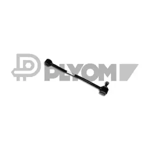 P080219 PLYOM