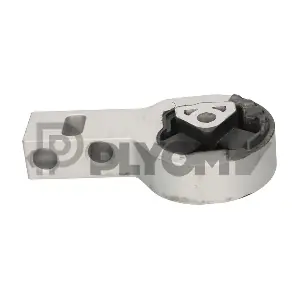 P011259 PLYOM