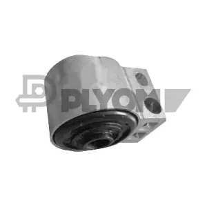 P760622 PLYOM