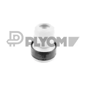 P750115 PLYOM