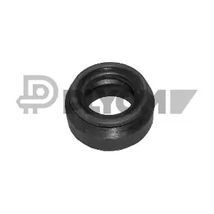 P080132 PLYOM