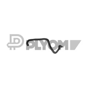 031307 PLYOM