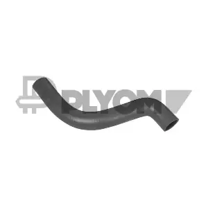 P026317 PLYOM