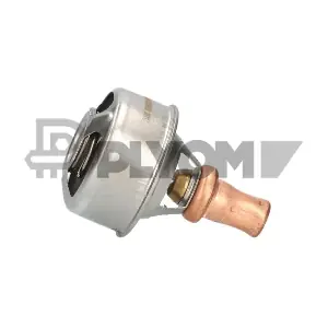 P756903 PLYOM