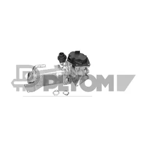 P764475 PLYOM