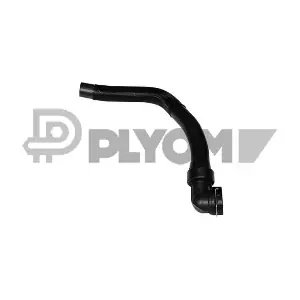 P011319 PLYOM