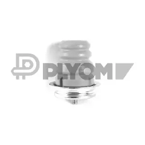 P750050 PLYOM