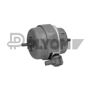 P756317 PLYOM