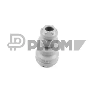 P750604 PLYOM