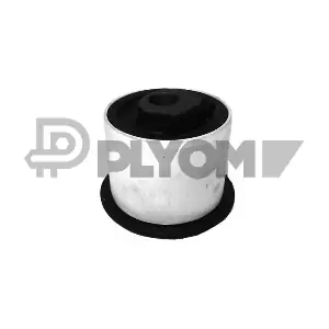 P462618 PLYOM