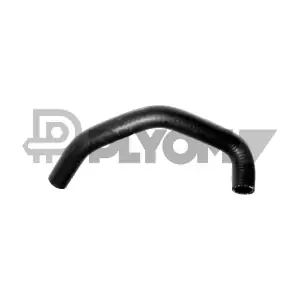 P754327 PLYOM