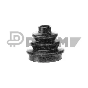 PLYOM P010621