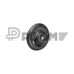 P757824 PLYOM