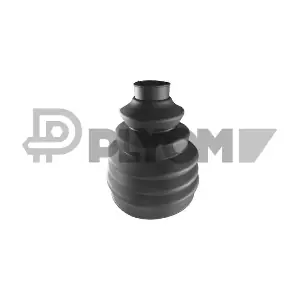 P751309 PLYOM