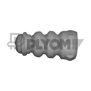 P462450 PLYOM