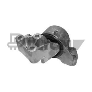 P011157 PLYOM
