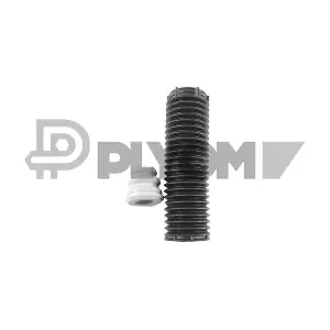 PLYOM P763384
