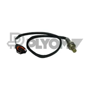 PLYOM P755118
