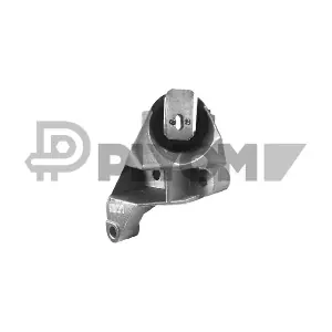 P021110 PLYOM
