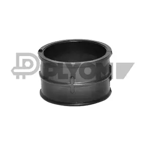 P752838 PLYOM