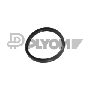 P952039 PLYOM