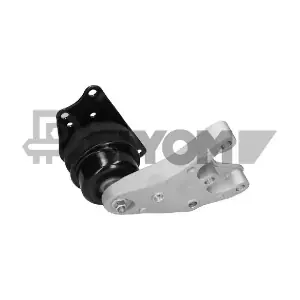 PLYOM P461131