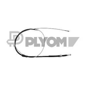 P763057 PLYOM