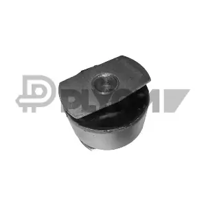 P020126 PLYOM