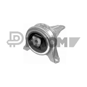 P480491 PLYOM