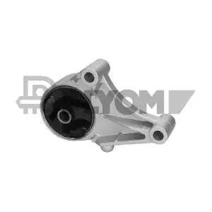 P756443 PLYOM