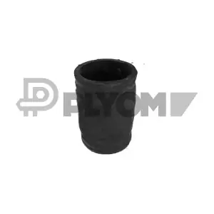 P769917 PLYOM