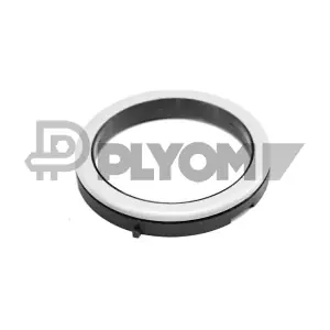 P751069 PLYOM