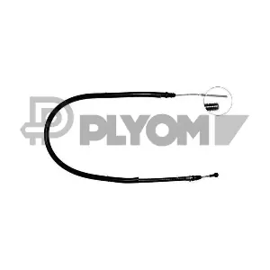 P019066 PLYOM
