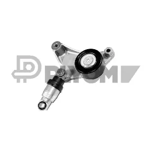 PLYOM P770885