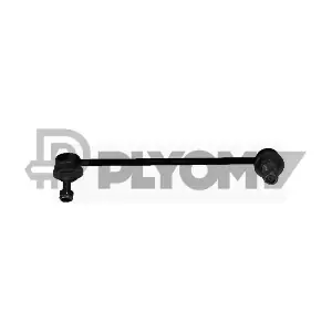 P021096 PLYOM