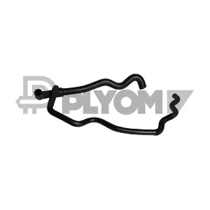 P753421 PLYOM