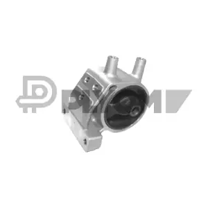 P760130 PLYOM