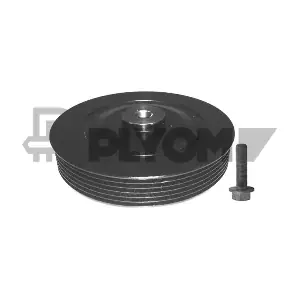 PLYOM P752321