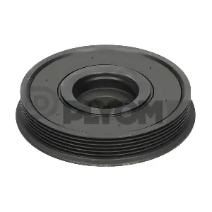 PLYOM P754653
