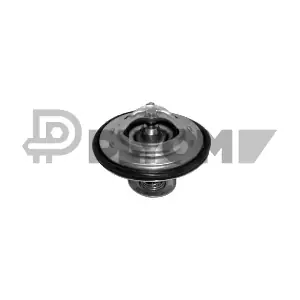 PLYOM P772446