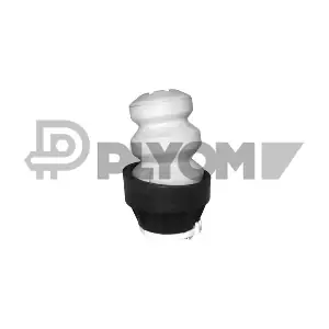 P756963 PLYOM