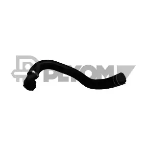 P753290 PLYOM