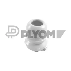 P762421 PLYOM